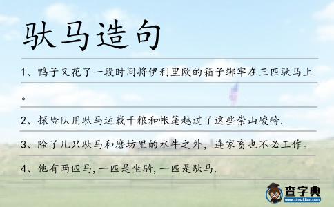馱馬造句