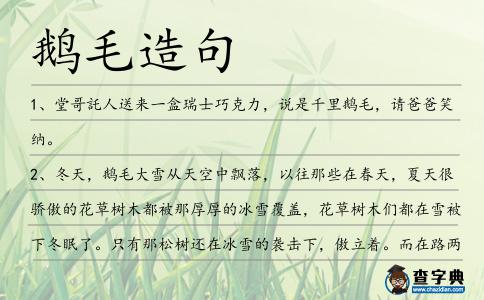 鵝毛造句