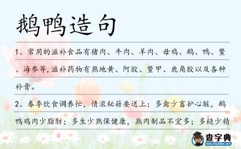 鵝鴨造句