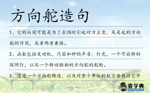 方向舵造句