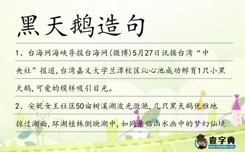 黑天鵝造句