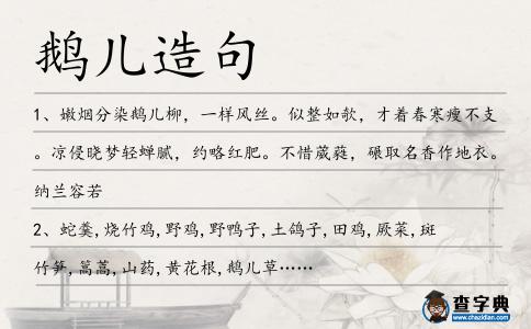 鵝兒造句
