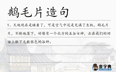 鵝毛片造句
