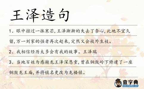 王澤造句