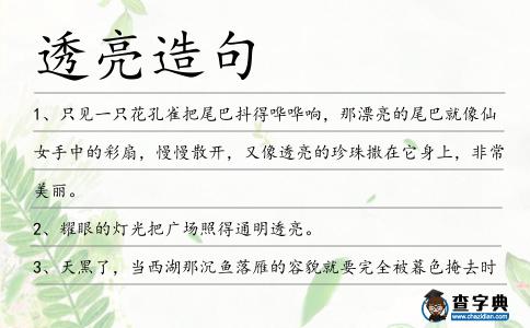 透亮造句