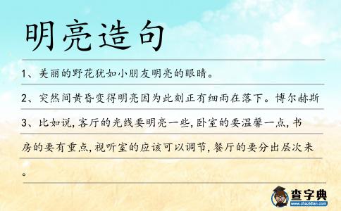 明亮造句