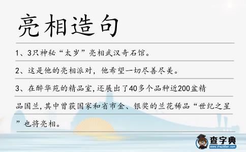 亮相造句