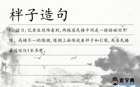 柈子造句