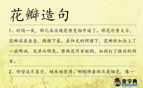 花瓣造句