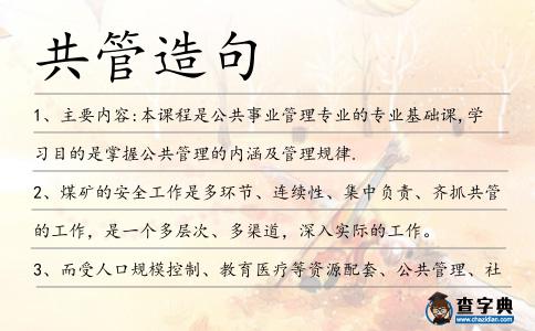 共管造句