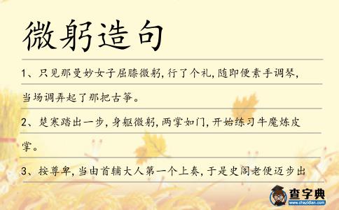 微躬造句