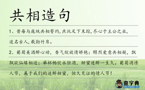 共相造句