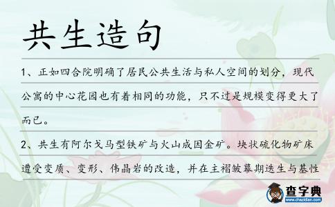 共生造句