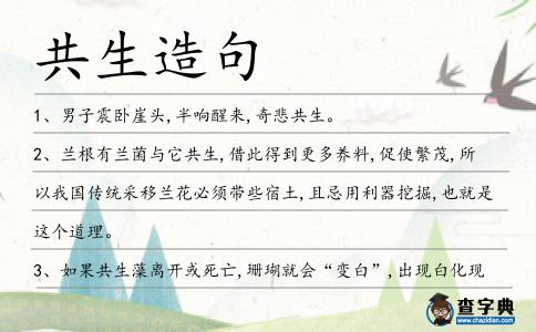 共生造句