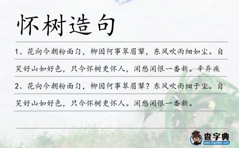 懷樹造句