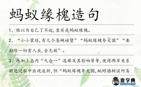 螞蟻緣槐造句
