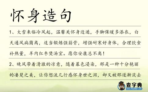 懷身造句
