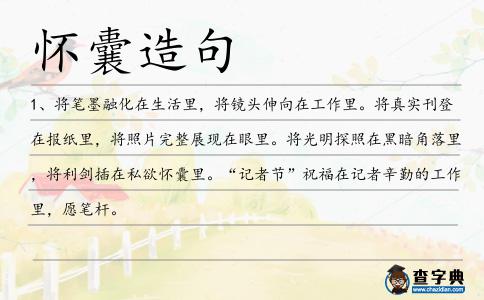 懷囊造句
