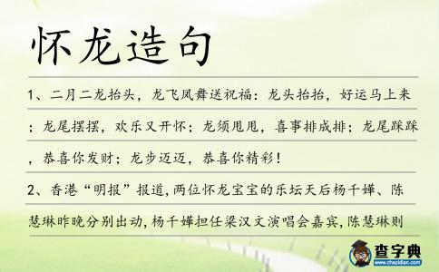 懷龍造句