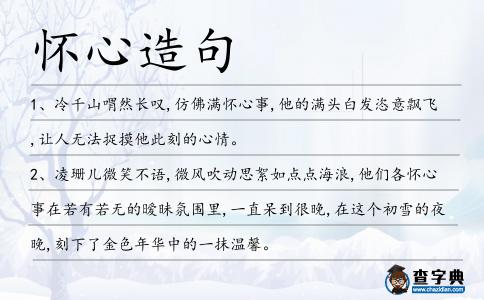 懷心造句