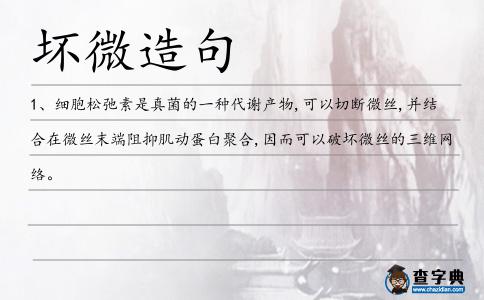 壞微造句