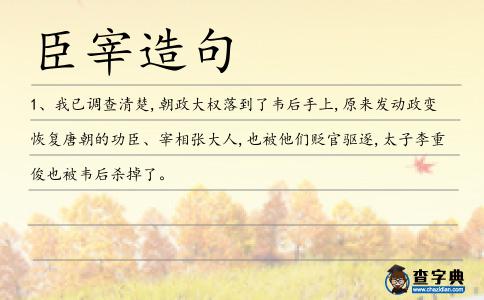 臣宰造句