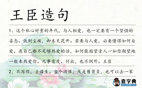 王臣造句