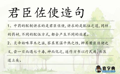 君臣佐使造句