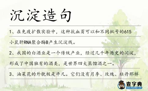 沉淀造句