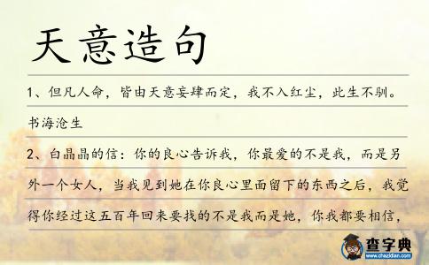 天意造句