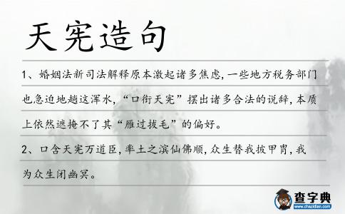 天憲造句