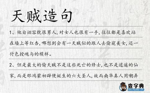 天賊造句