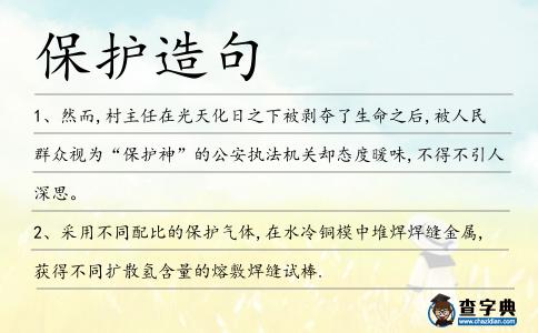 保護(hù)造句