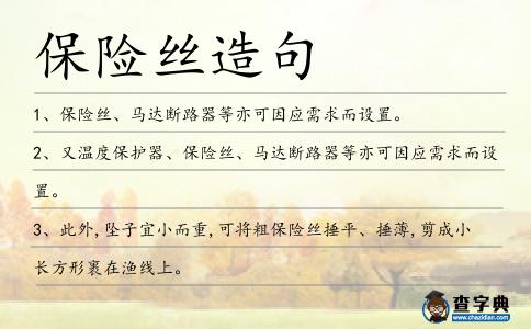 保險絲造句