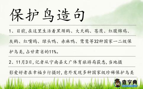 保護鳥造句
