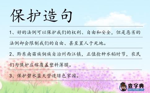 保護造句