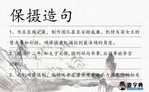 保攝造句