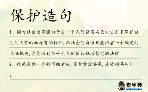 保護(hù)造句