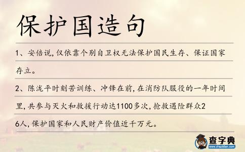 保護國造句