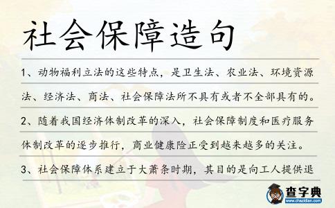 社會保障造句