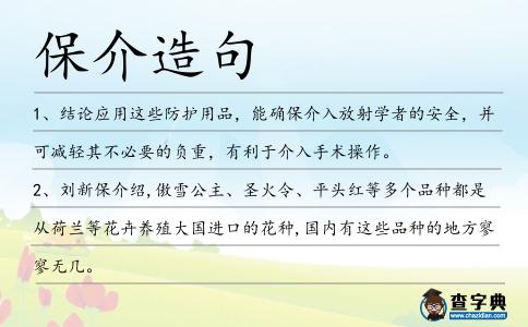 保介造句