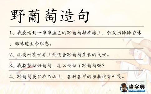 野葡萄造句