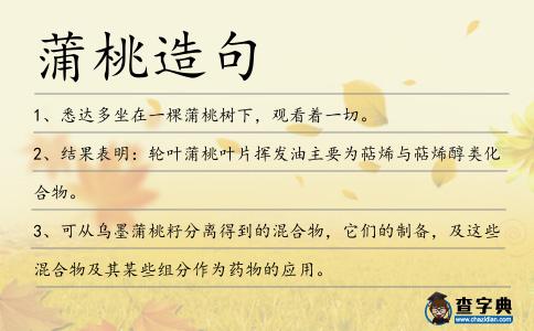 蒲桃造句