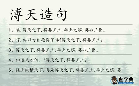 溥天造句