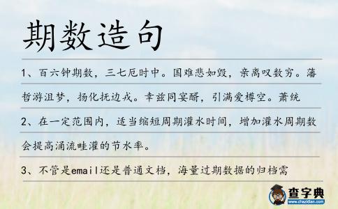 期數(shù)造句