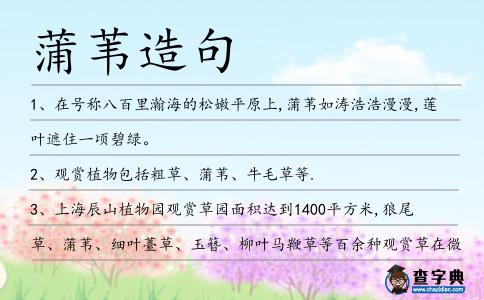 蒲葦造句