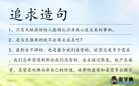追求造句