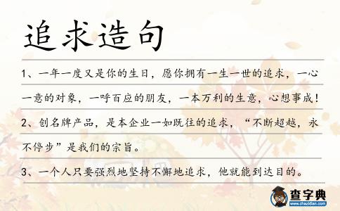 追求造句