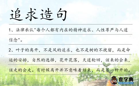 追求造句