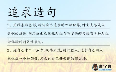 追求造句